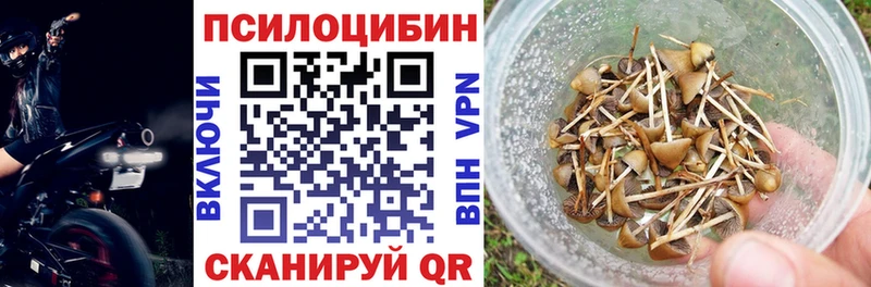 МЕГА рабочий сайт  Красноуральск  Псилоцибиновые грибы Psilocybe 